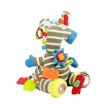 Zebra actividades