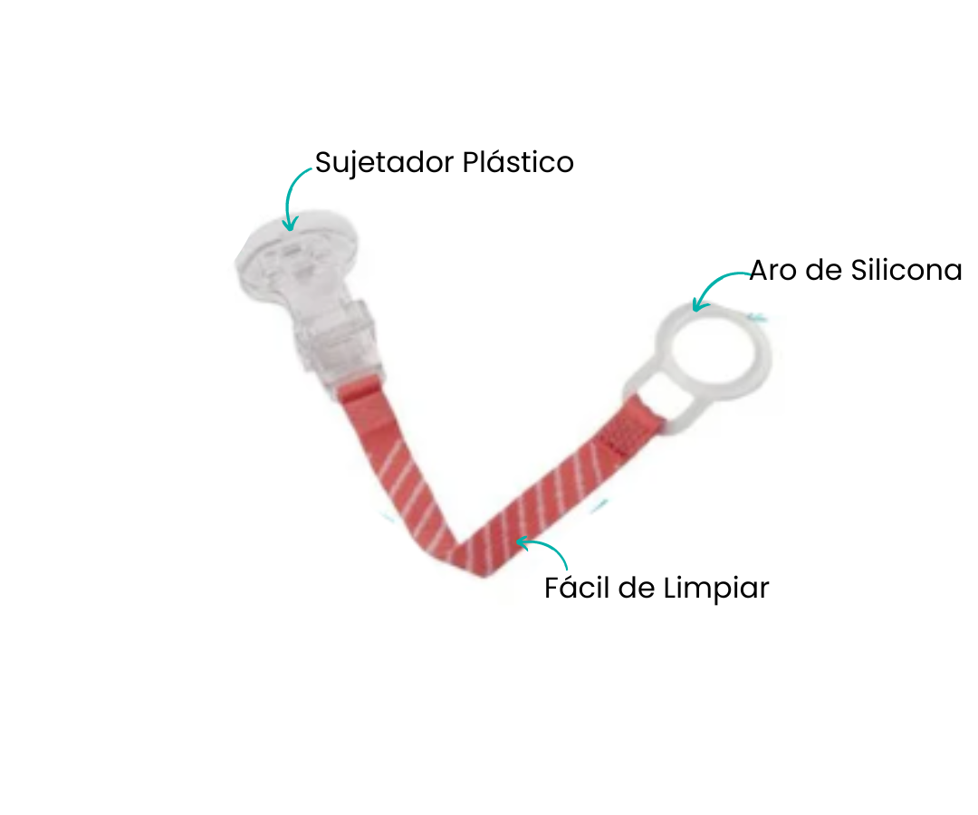 Características