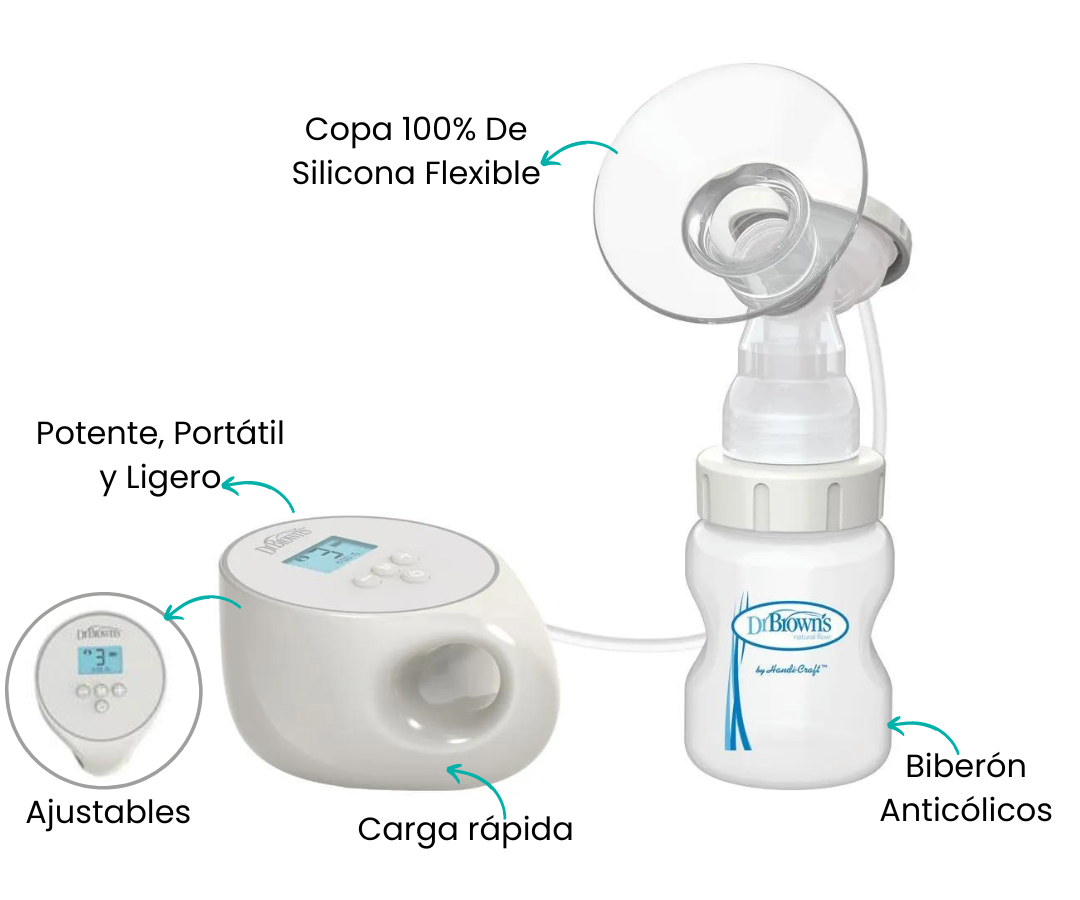 Características