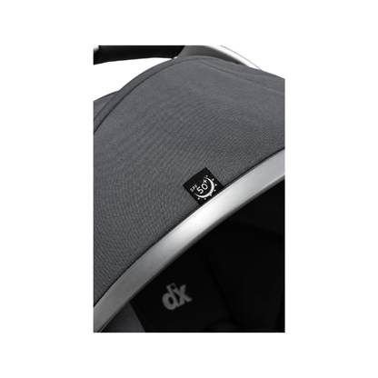 Coche DLX Munich Trav. System 0-20 Kg |  Black - Born