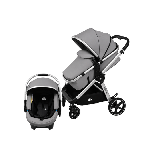 Coche DLX Munich Trav. System 0-20 Kg |  Grey - Born