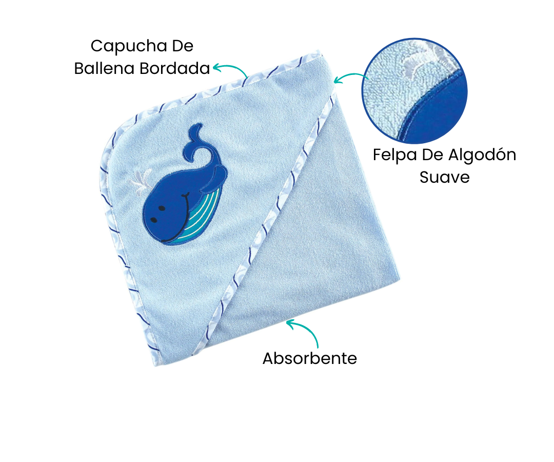 Características