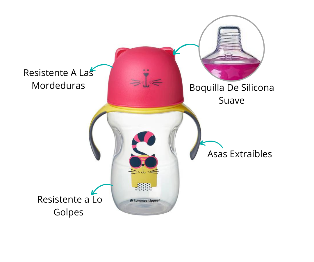 Características