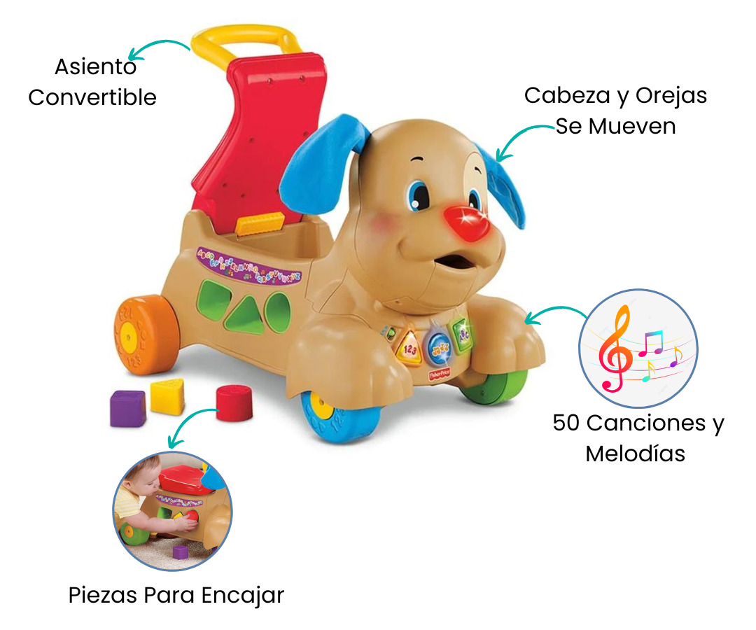 Características