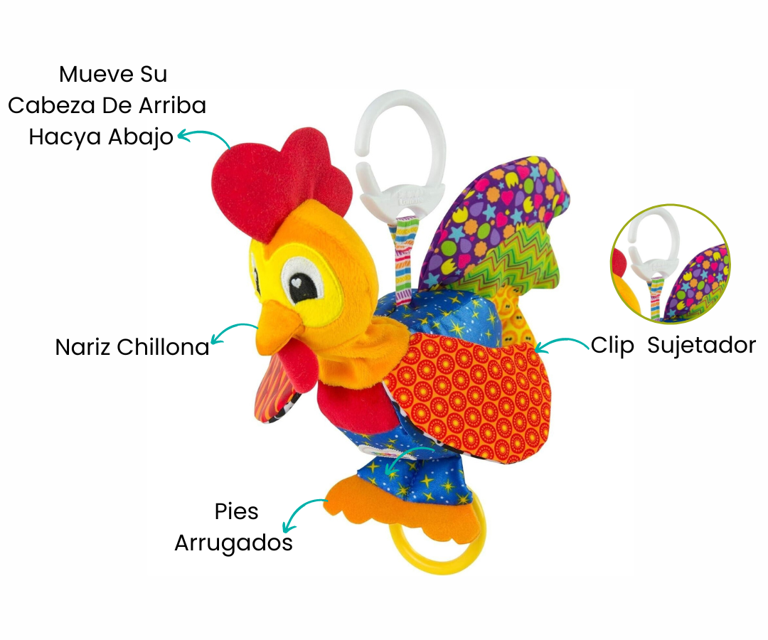 Características