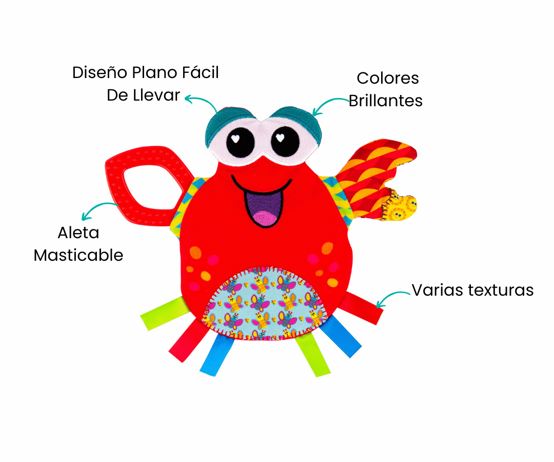 Características