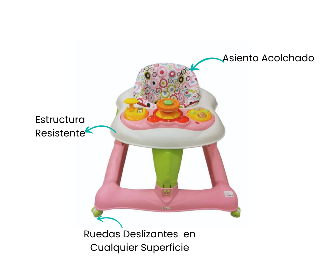 Características