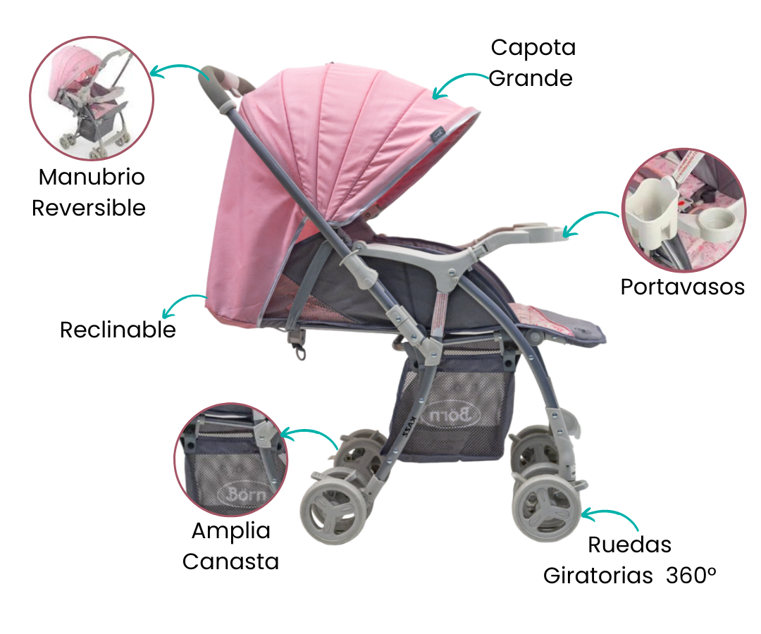 Características