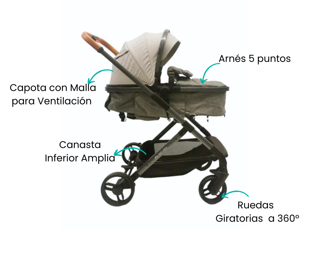 Características