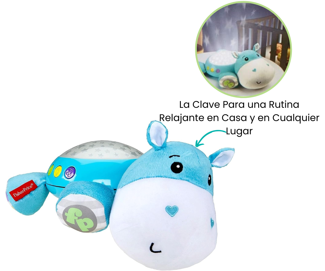 Características