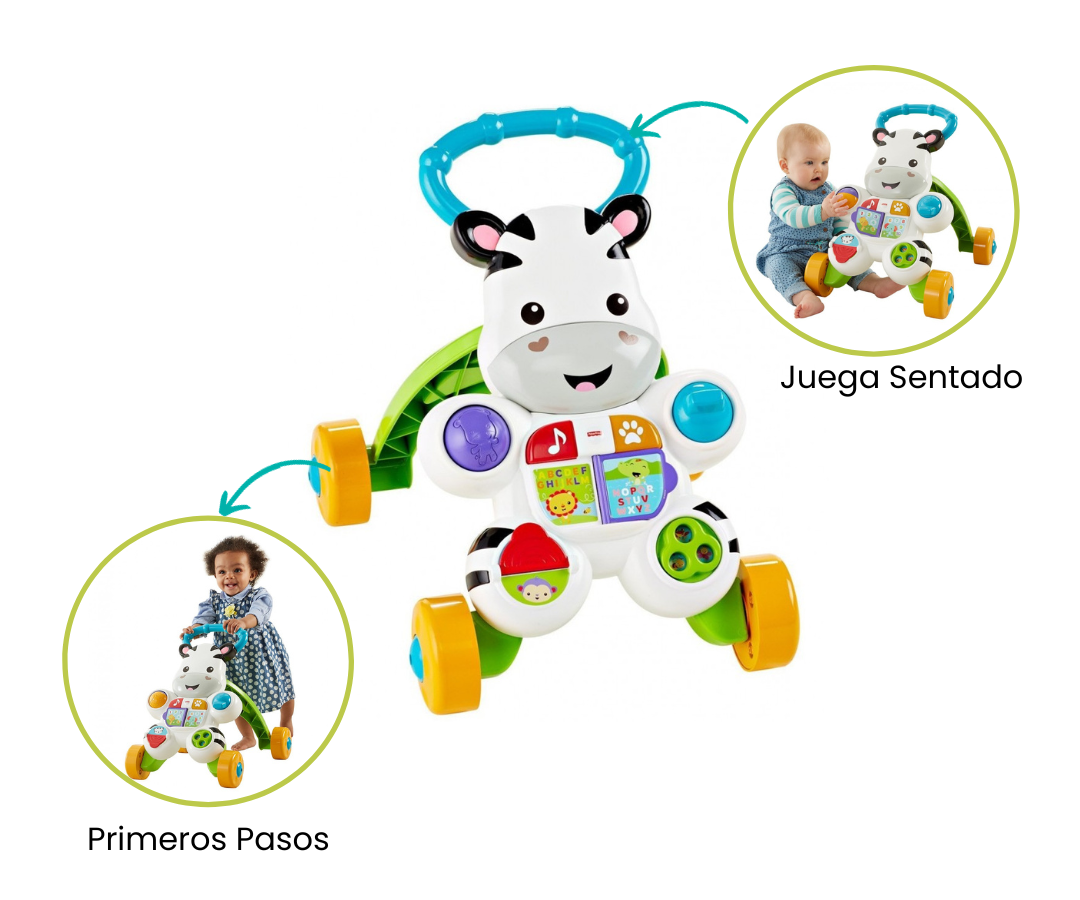 Cebra Primeros Pasos De Fisher Price Caballito Cebra Saltarin