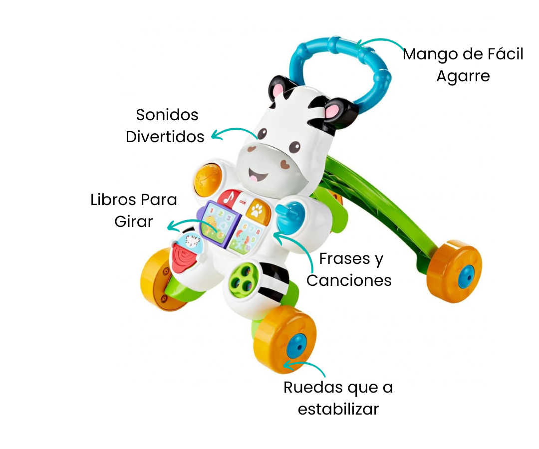 Características