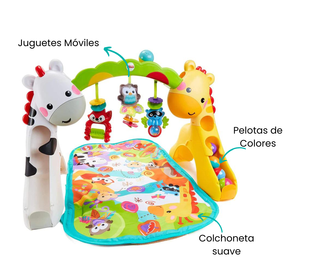 Gimnasio etapas crece conmigo on sale