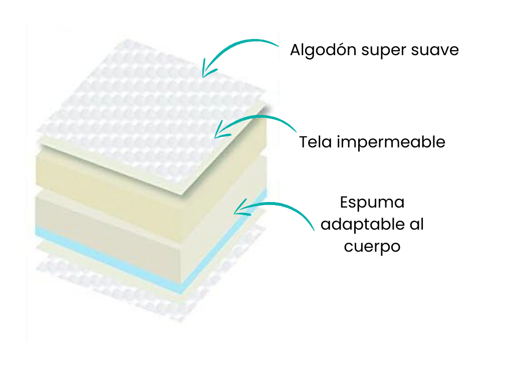 Características