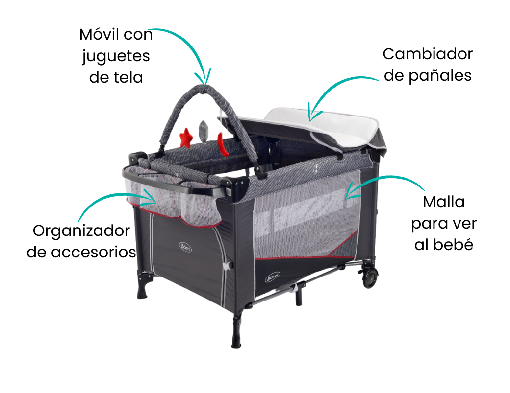 Características