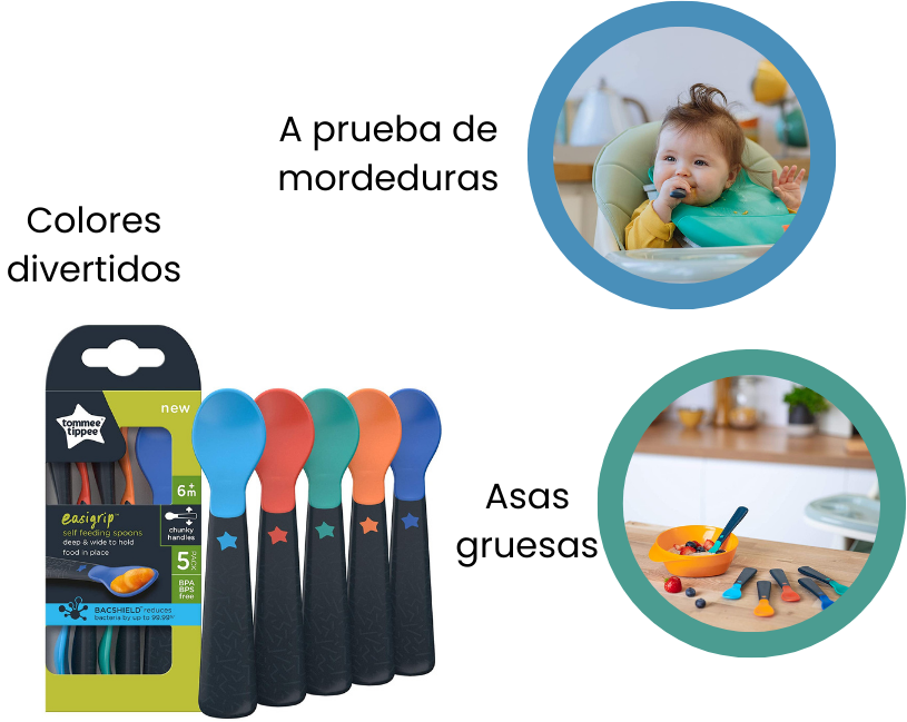 Características