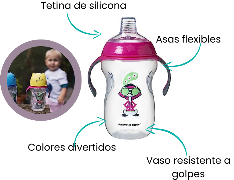 Características