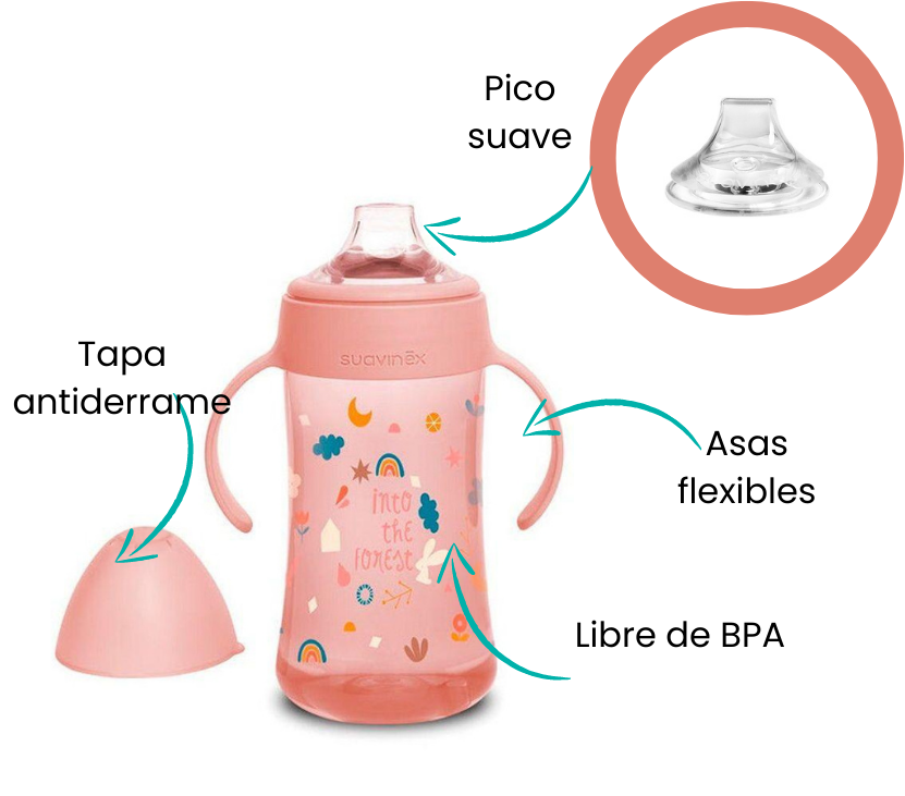 Características