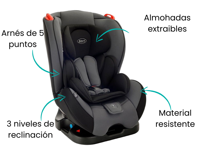 Características