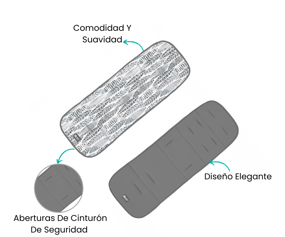 Características