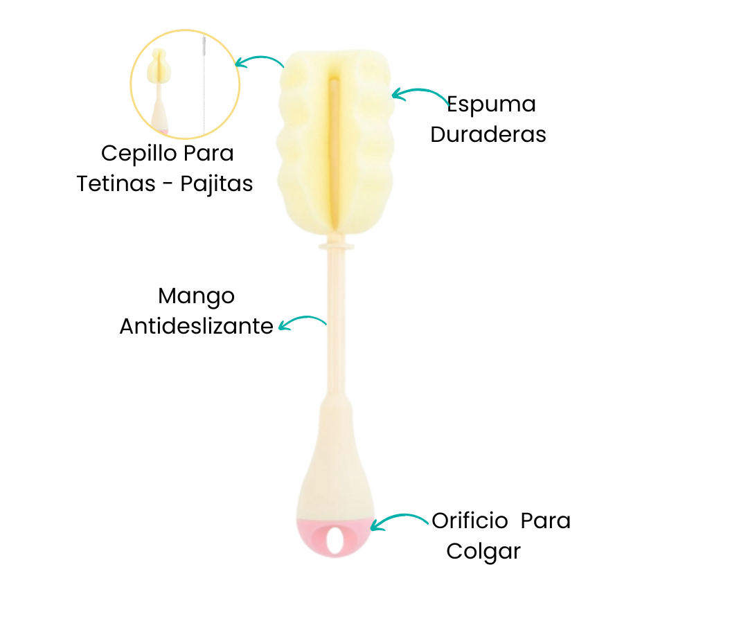 Características