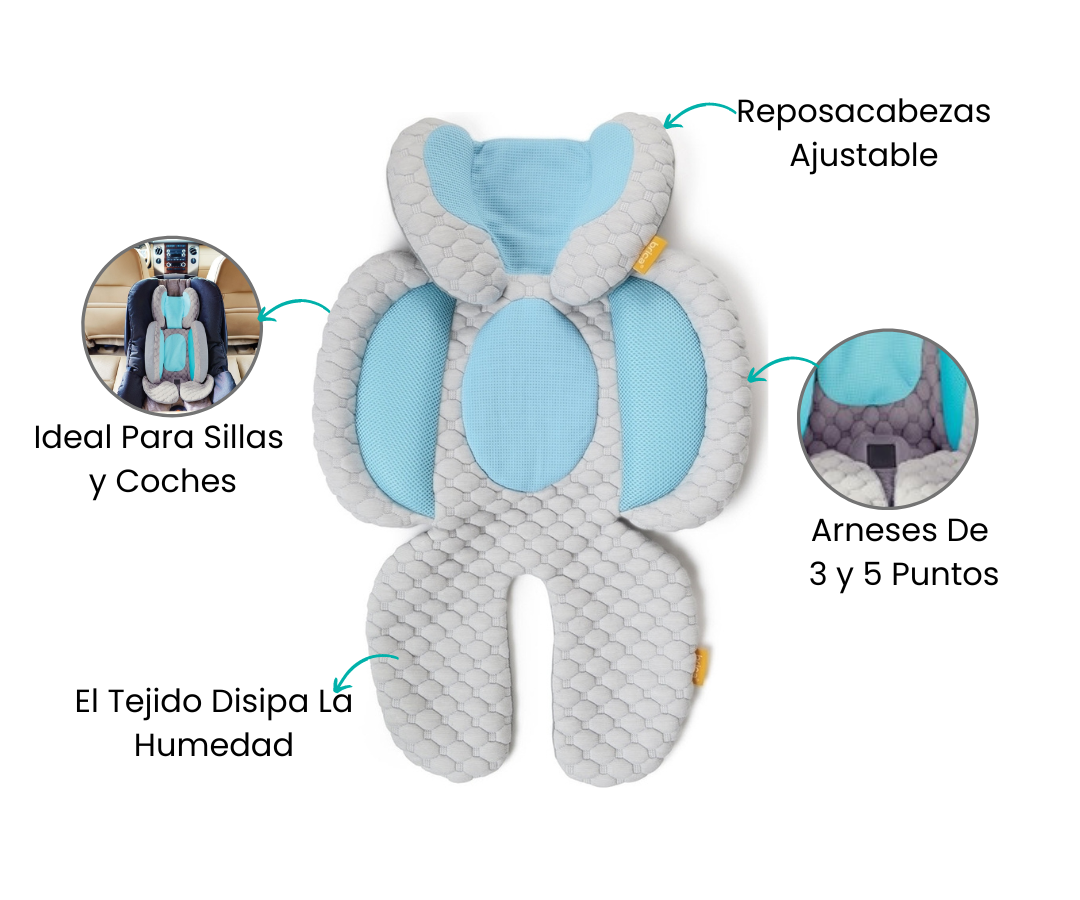 Características