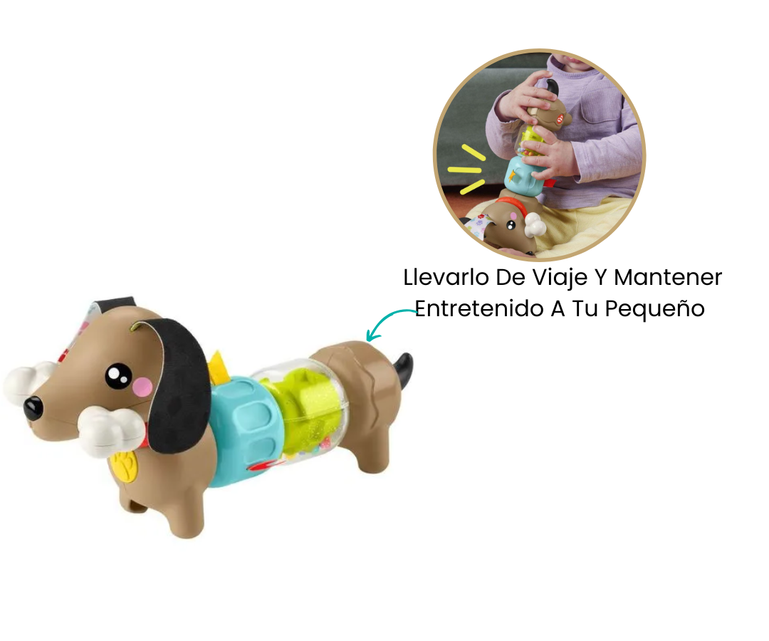 Características