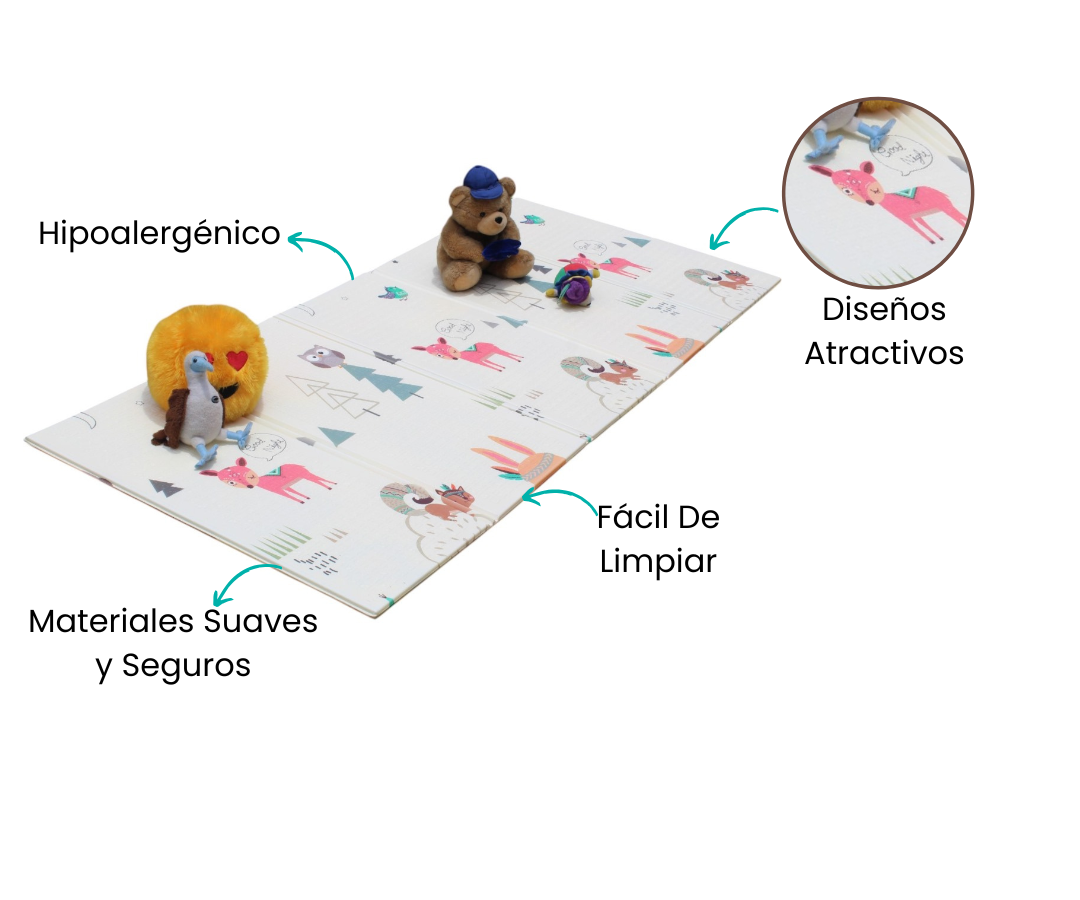 Características