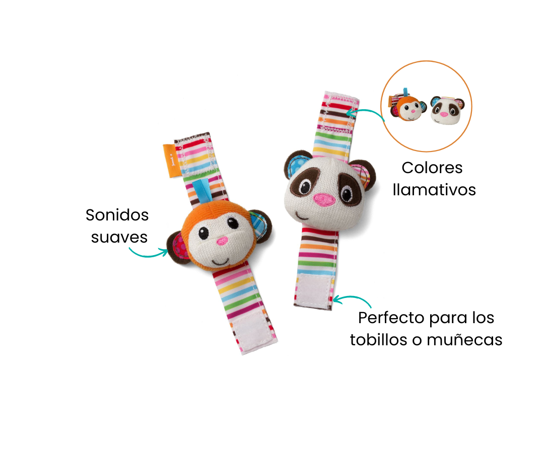 Características
