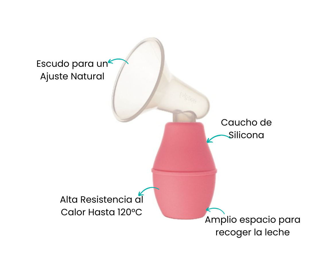 Características