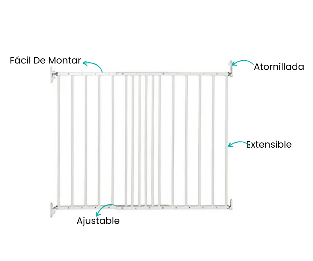 Características