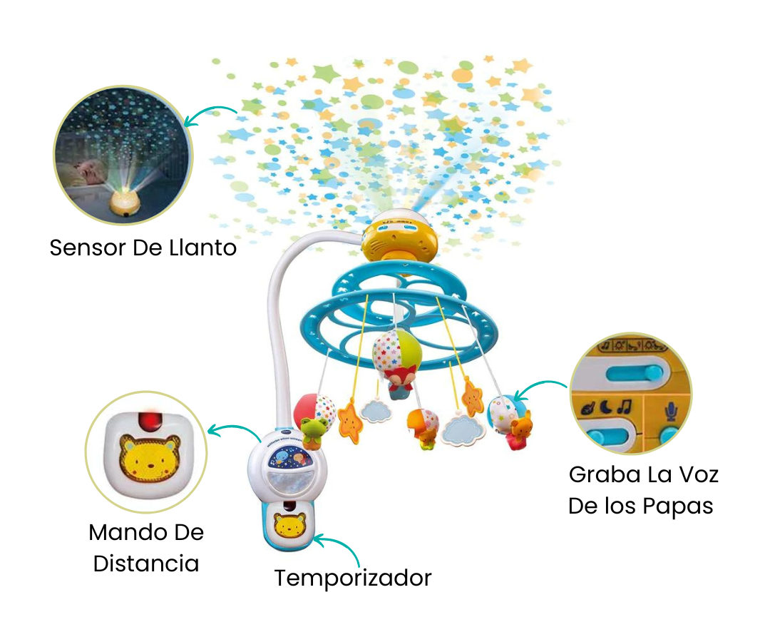 Características