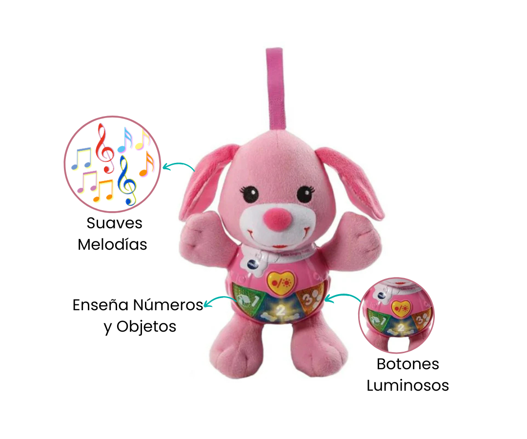 Características
