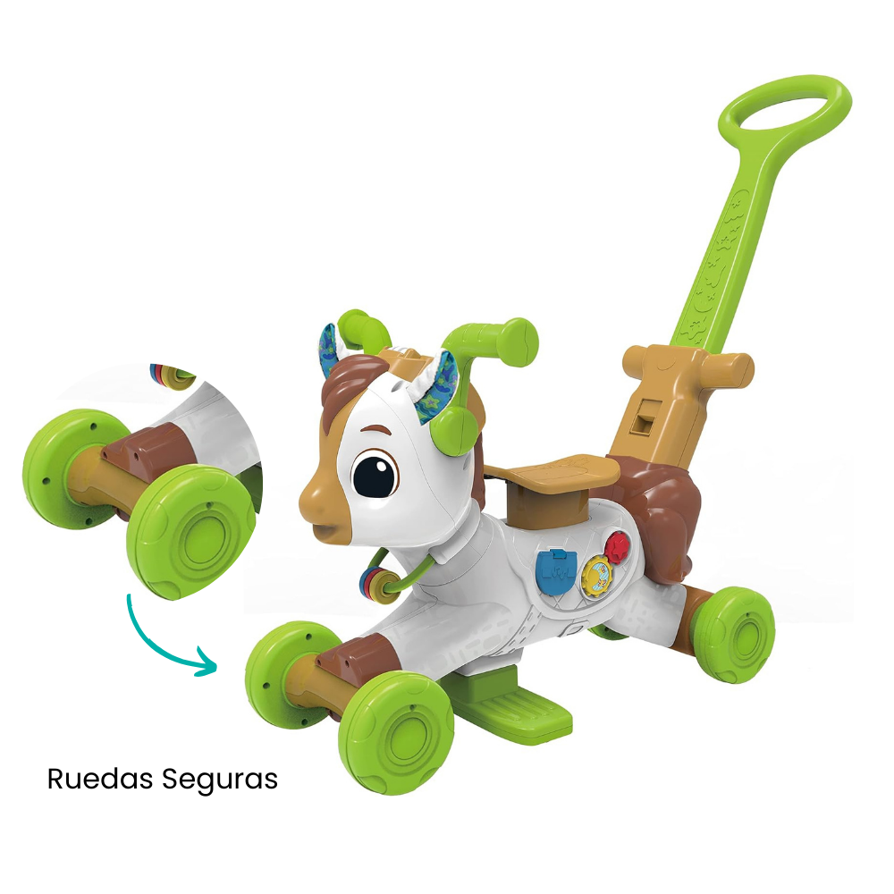 Características