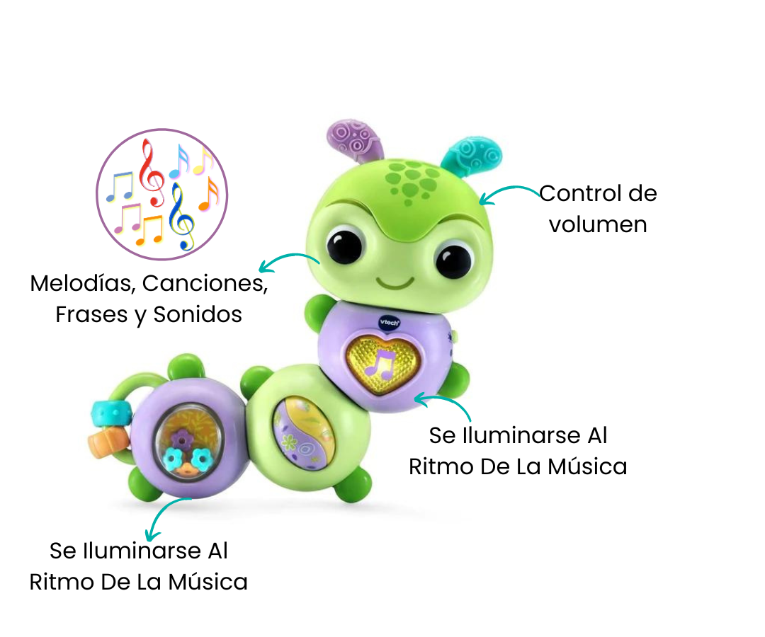Características