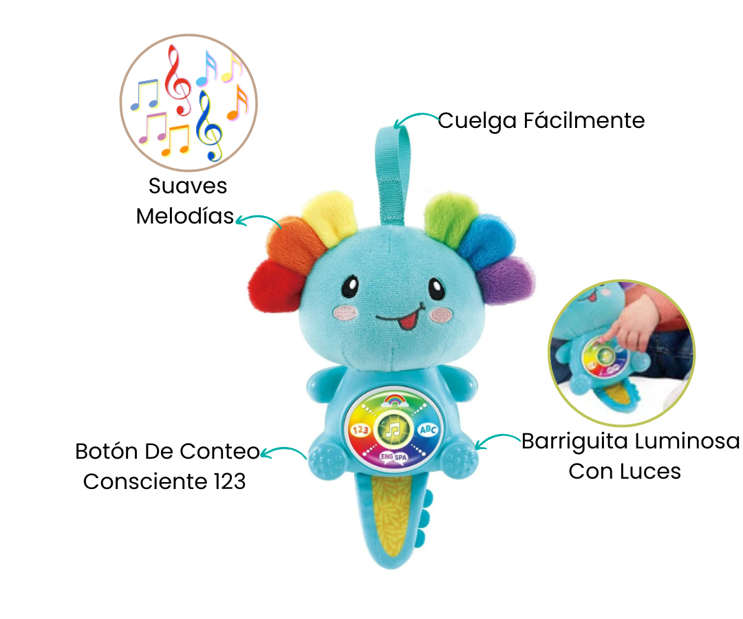 Características