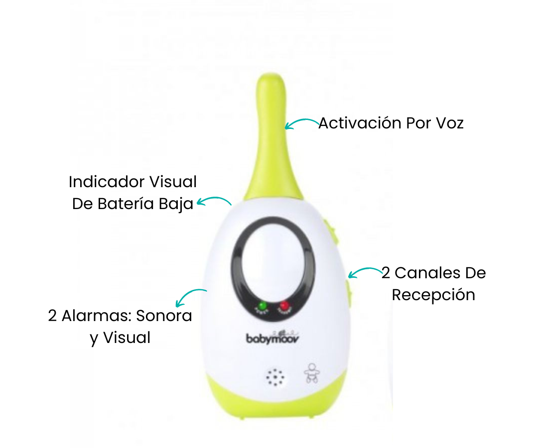 Características