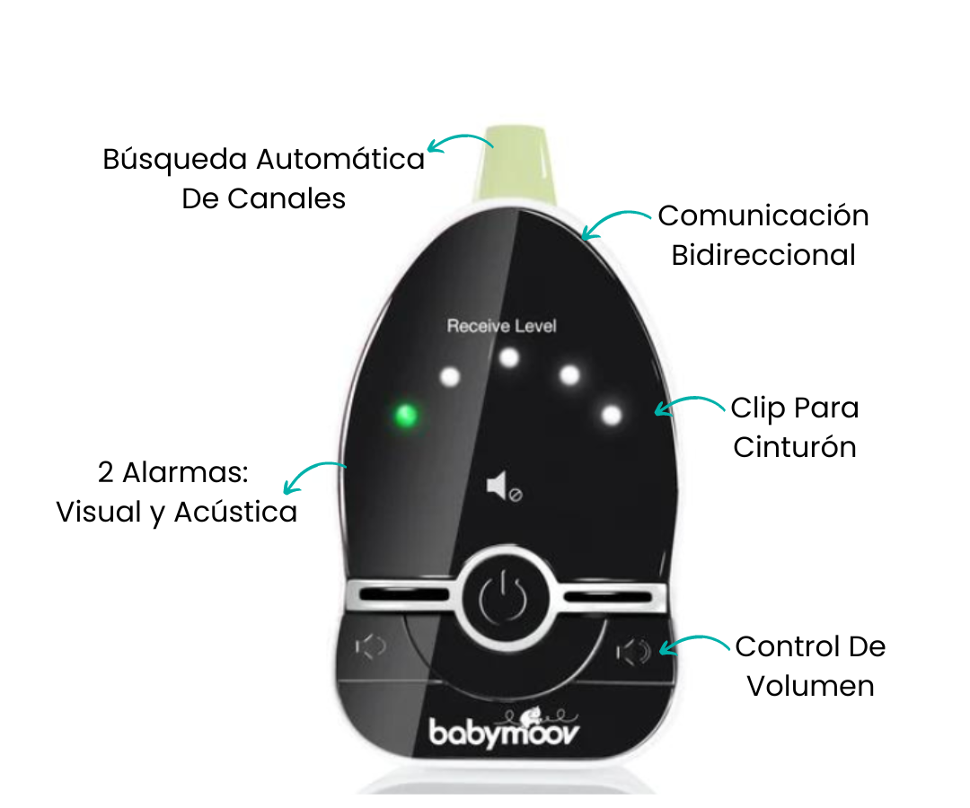Características