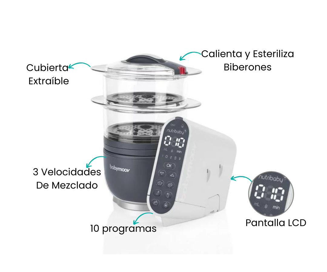 Características