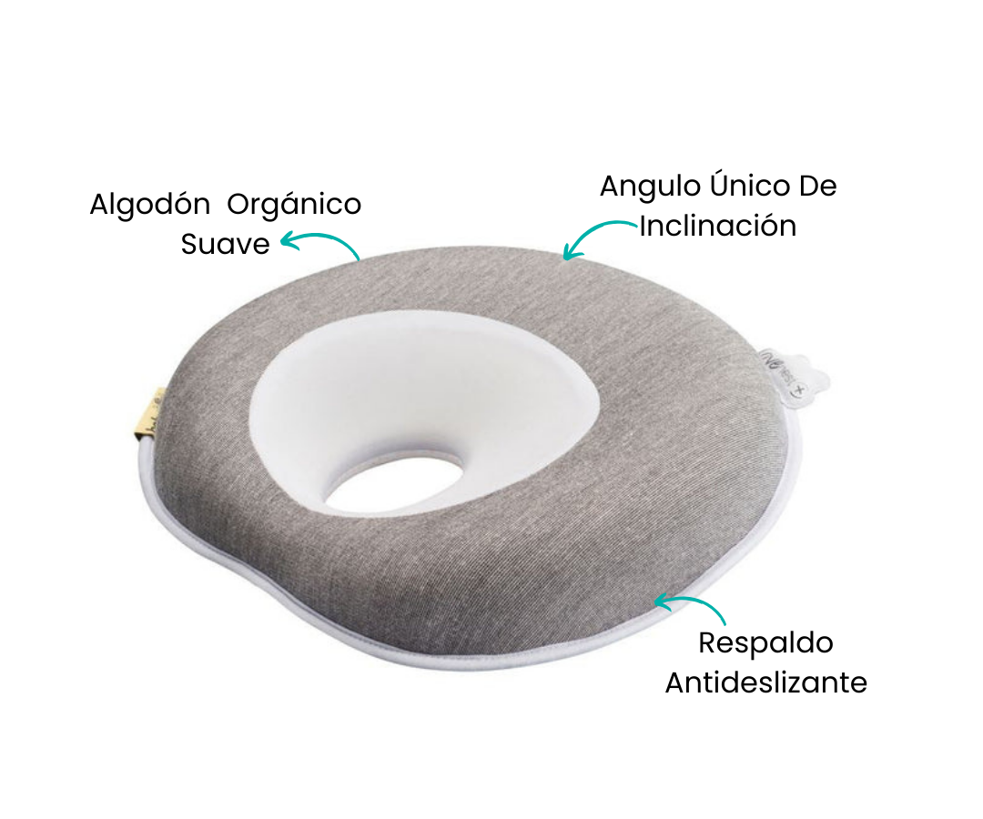 Características