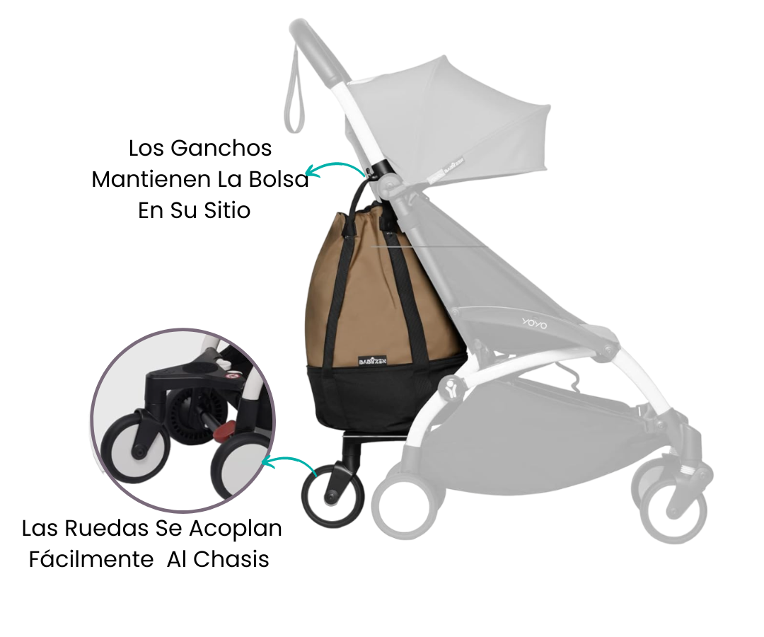 Características