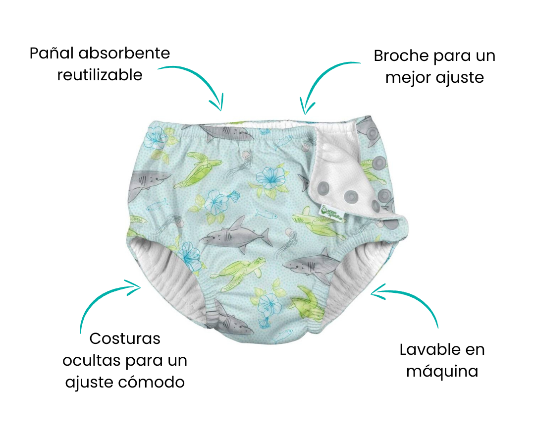 Características