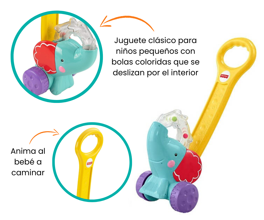 Características
