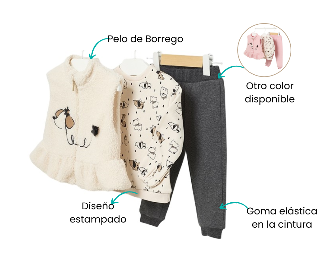 Características