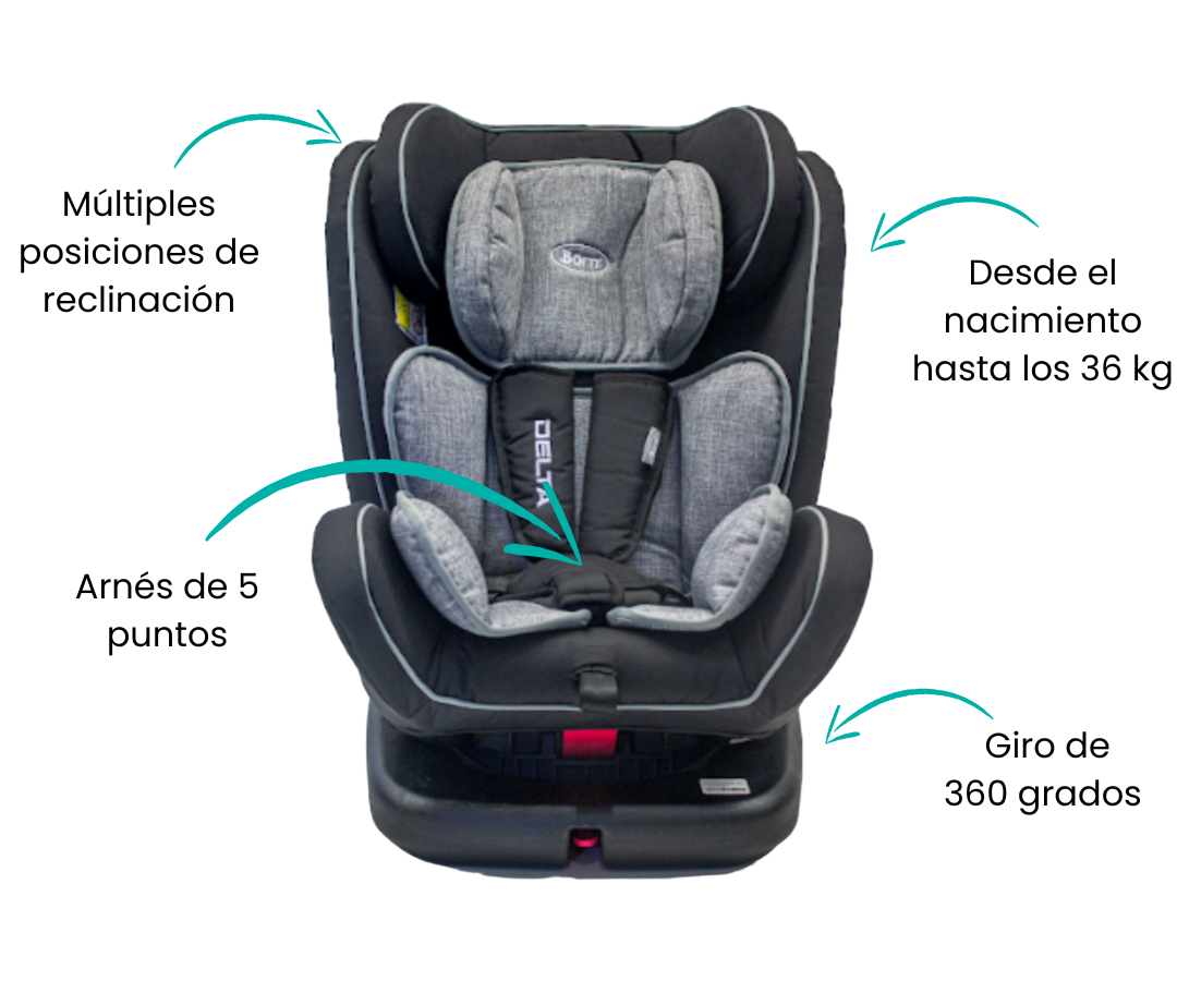 Características
