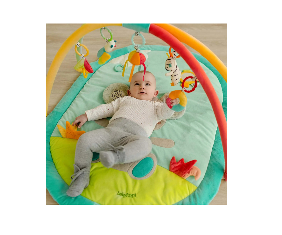 Gimnasio Koala Baby Fehn