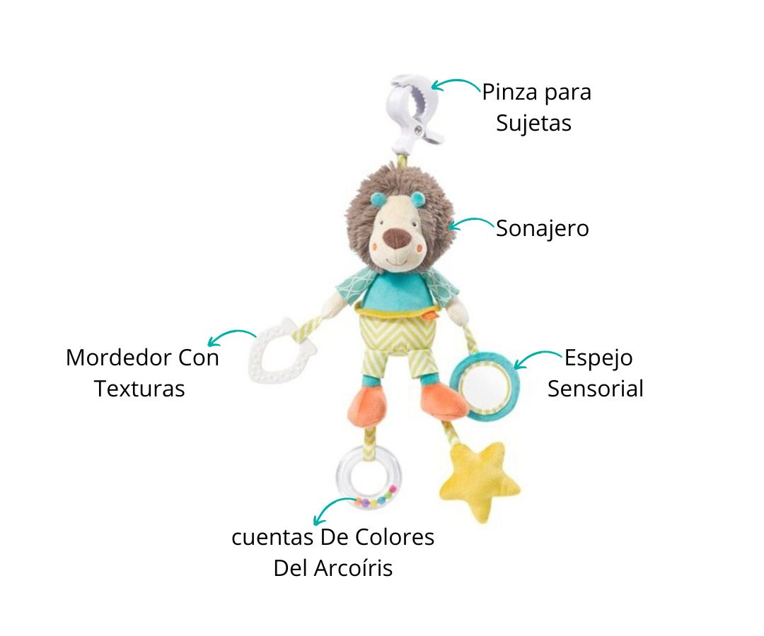 Características