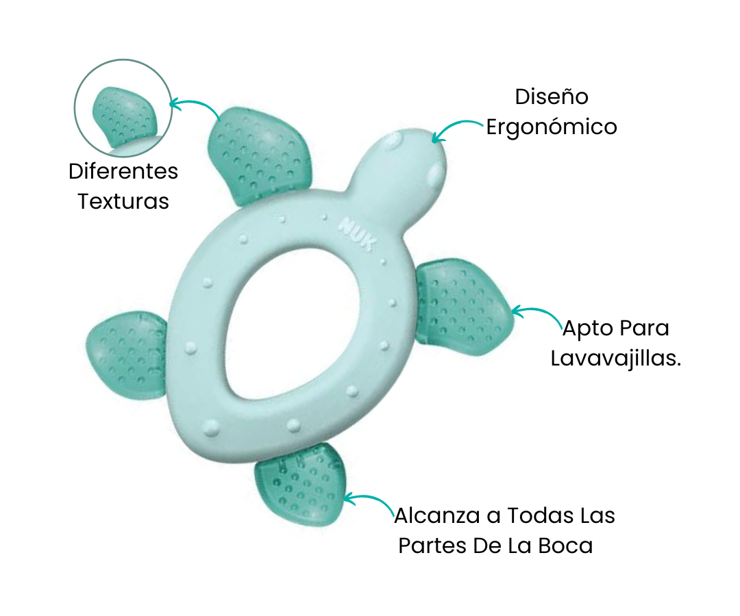 Características