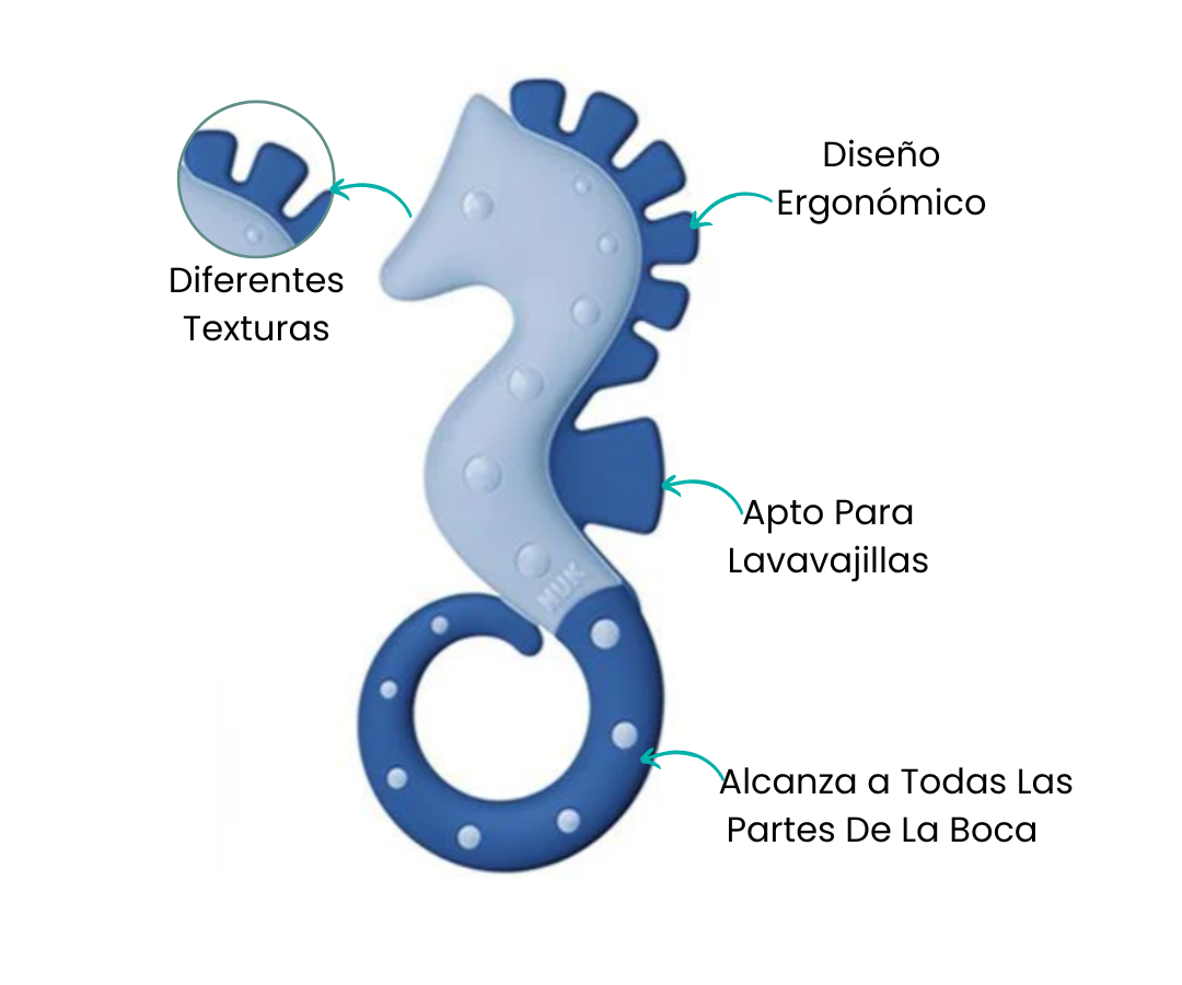 Características