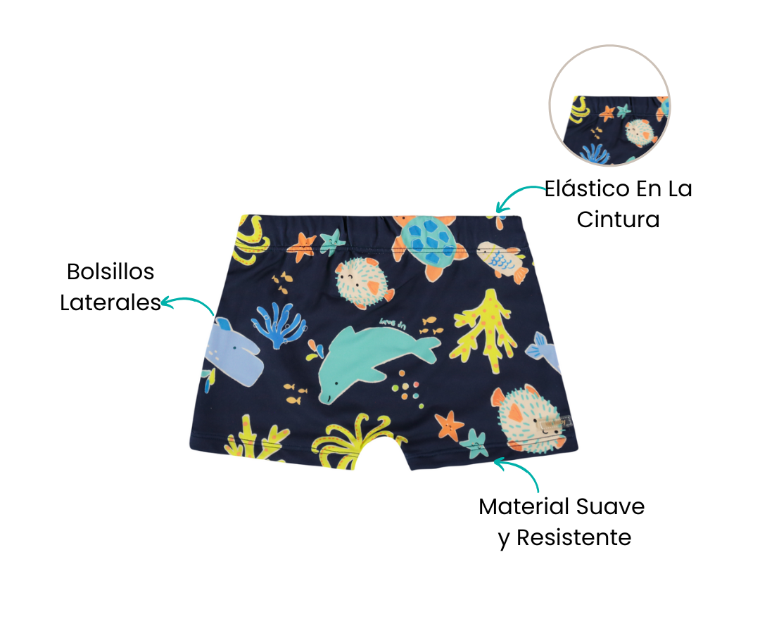 Características